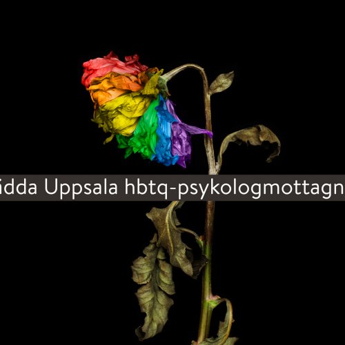 Nytt hopp för Uppsala hbtq-psykologmottagning!